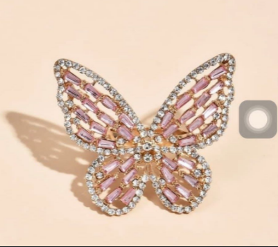 Anillo Liz